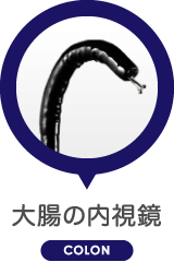 大腸の内視鏡